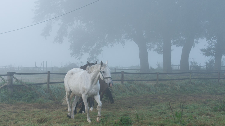 Farben bei Dunst und Nebel