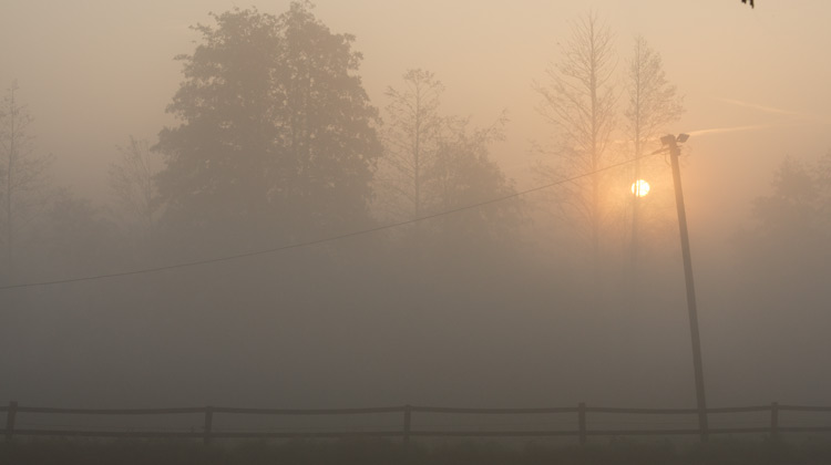 Rotes Licht – Sonnenaufgang, Nebelschwaden.